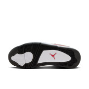 air jordan dub zero